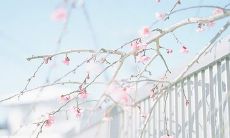 身在他乡对亲情的句子