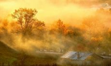 关于乡村的优美句子