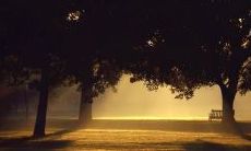 对爸爸失望心塞的句子