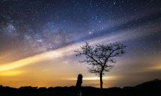 借夜抒情的句子