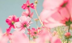 经典上万人赞说说