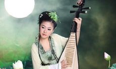 借月的抒情句子