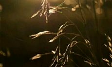 她说的抒情句子