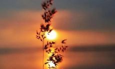 冬季里 邀您共赏清新的句子