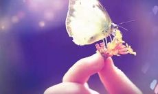 发快手的句子友情分离句子