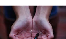 美到让人心碎的句子