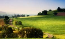 以亲情为话题的优美句子