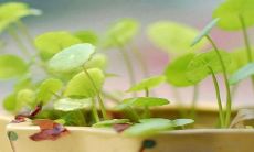 形容让老婆很开心的句子