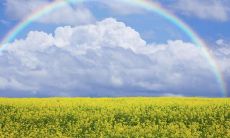 关于亲情家族的句子