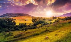 一人人心烦意乱的句子