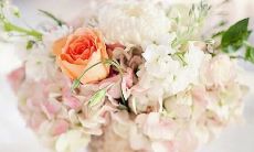 与亲情有关的古诗文句子