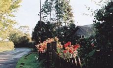 被背叛的心痛的句子说说心情