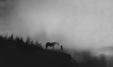 对一个人失望心如死灰的句子