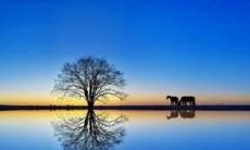 谦虚的优美句子