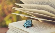 亲情很薄弱的句子