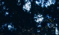 形容累也开心的句子