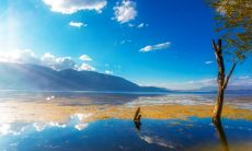 天气热防暑的问候短信