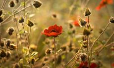 跨年夜关于友情的句子