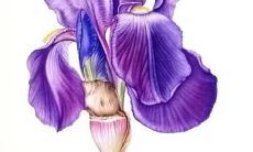 没有后悔过爱你的句子