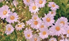 被秒赞的抖音文案 简单吸引人的说说