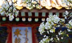 那些读过之后顿生豪气的诗词