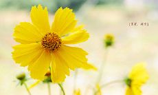 生活中令人感到哲理的句子