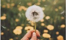 得贵人相助感恩的句子