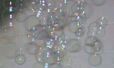 感恩的句子 小说