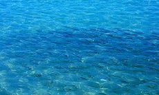 青年节问候短信