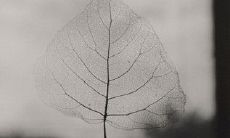 形容后悔结婚的句子