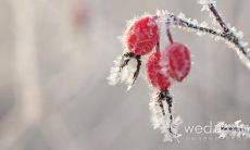 离婚让你后悔的句子