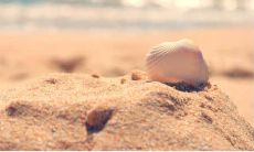 形容后悔决定的句子