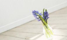 让你瞬间开心的皮句子