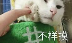 最火搞笑文案短句