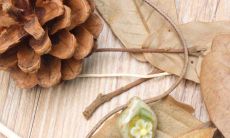 伤情的开心的句子