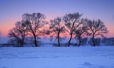 形容距离远亲情近的唯美句子