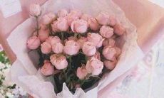 赞美血缘亲情的句子