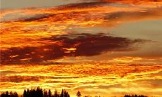 车间团队口号8字押韵