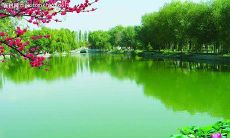 合作中的友情句子