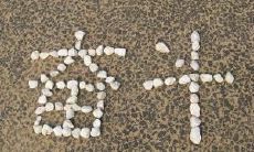 勤奋好学的正能量句子