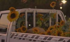 关于温柔至极的文案