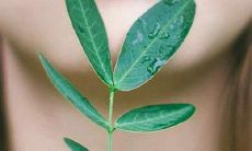 温馨家庭开心的句子