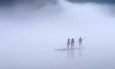 那些心碎的句子和