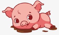 祝福心爱的人开心快乐的句子