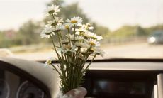 对老公很失望很想离婚的句子