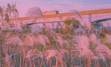 奇奇怪怪的文案