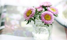 爱慕女子的唯美句子