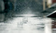 经典情感语录句句扎心