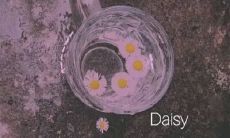 超级温柔的神仙句子