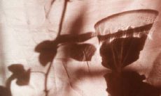 撩人甜到爆的句子